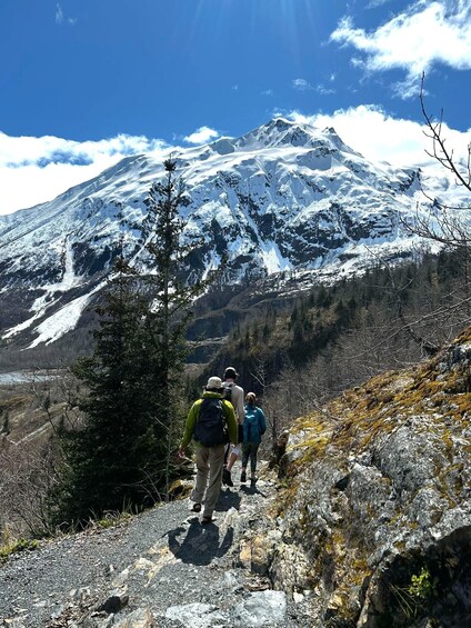 Picture 1 for Activity Seward: Guided Marmot Meadows Hike with Lunch 2
