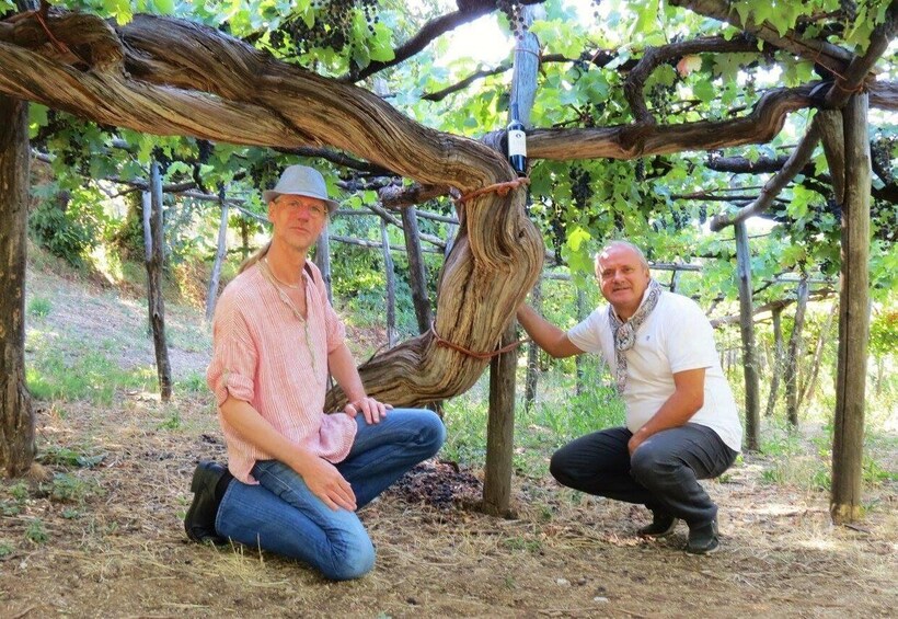 Two people sitting under a vine-covered pergola in a vineyard. 4