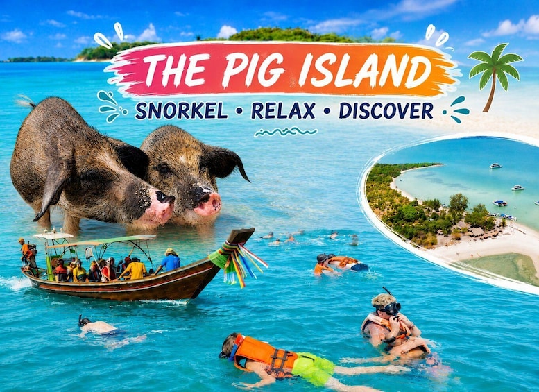 A tropical island with clear blue waters, a boat with people, and a large pig. 1