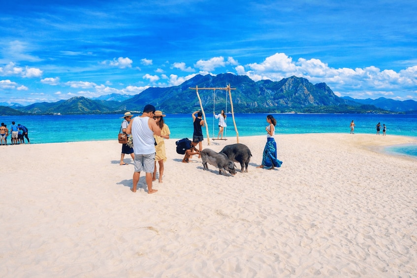 A beach with people, a swing set, and mountains in the background. 4