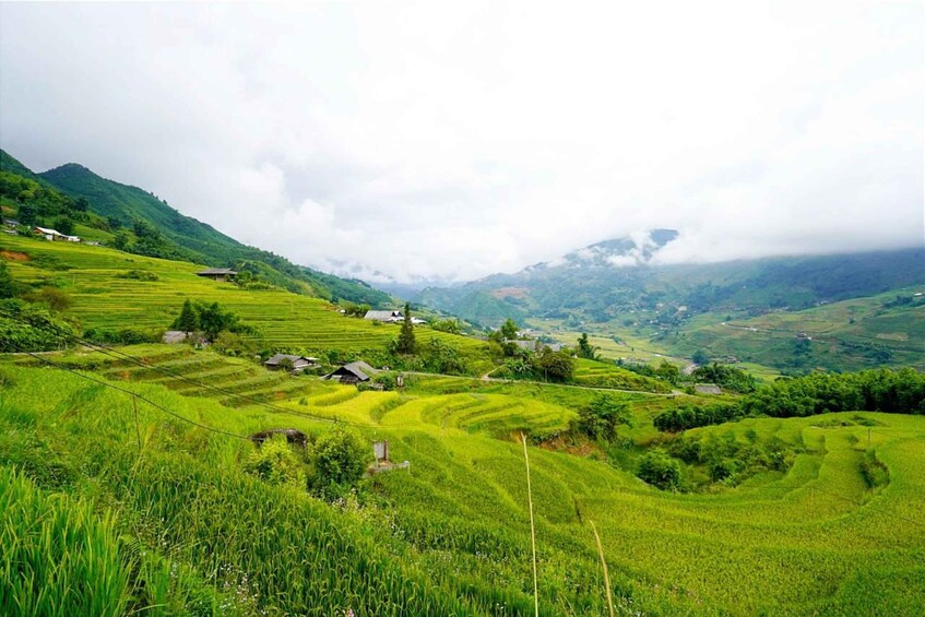 Terraced rice fields, houses, and rolling hills in a rural landscape. 4