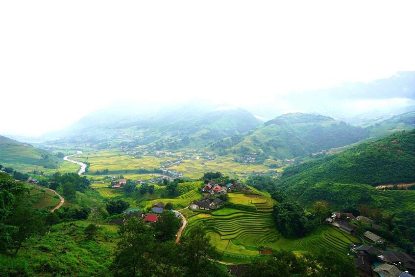 Terraced rice fields, a winding river, and scattered houses in a hilly landscape. 3