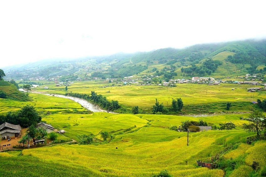 A lush green valley with terraced rice fields, a river, and scattered houses. 1