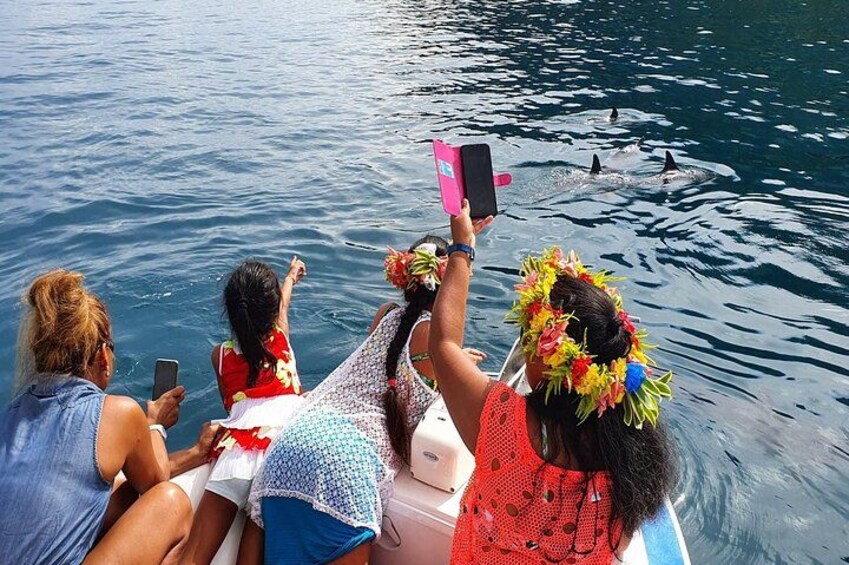 Drei Personen in einem Boot bei einer Gruppe von Delfinen im Wasser. 2