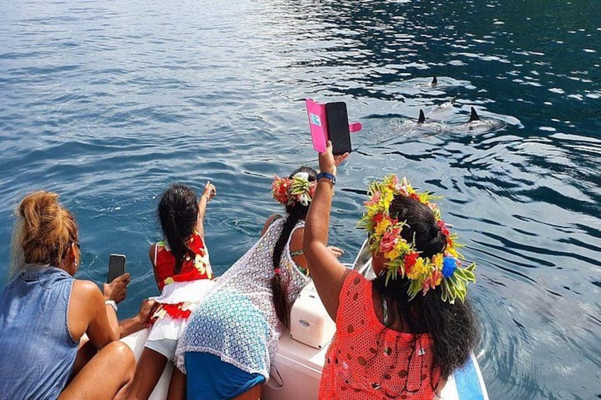 Moorea Lagoon Tour with Lunch 1