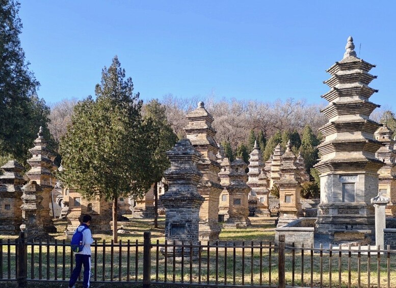 A person standing in front of a row of ancient stone pagodas. 5