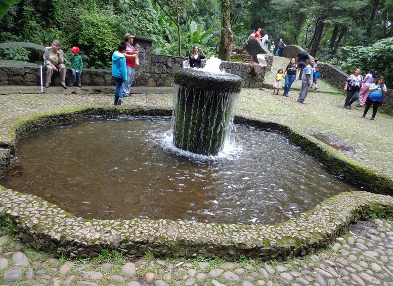 Una fuente de piedra rodeada por un borde de piedra en un parque, con gente caminando. 5