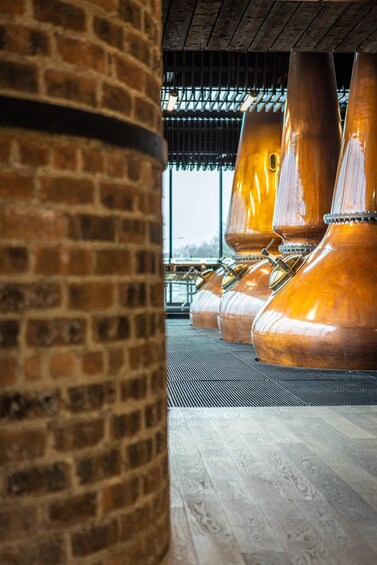 Picture 1 for Activity Falkirk: Whisky Making Experience at Rosebank Distillery 2
