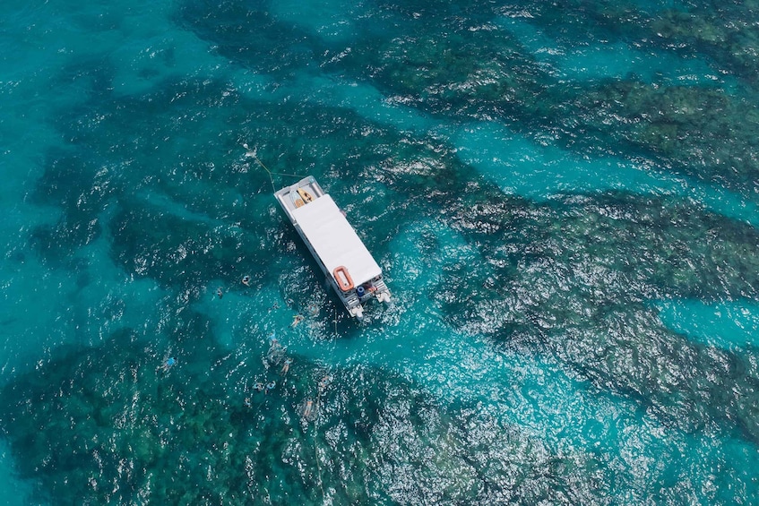 An aerial view of a floating platform with people swimming around it. 2