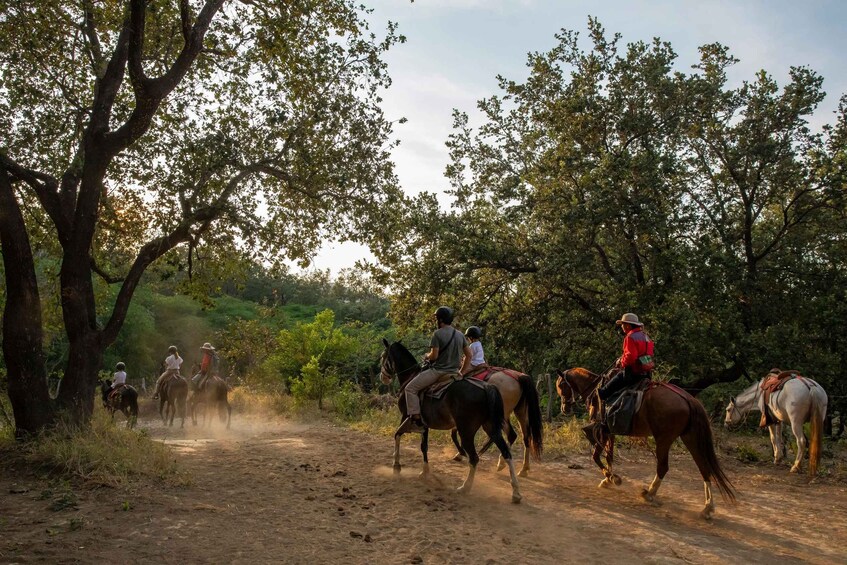 Picture 8 for Activity Horseback riding half day: Horsebackriding+ lunch+ hotspring 2