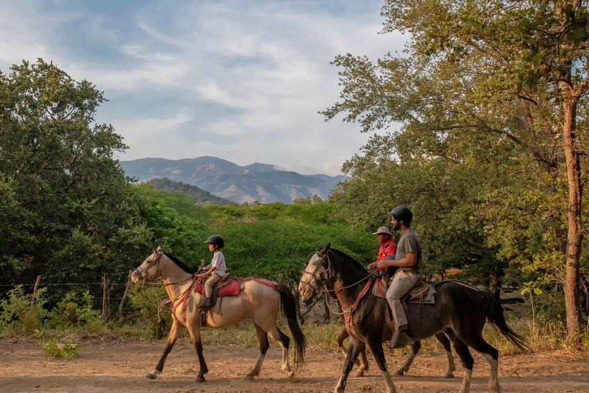 Horseback riding half day: Horsebackriding+ lunch+ hotspring 1
