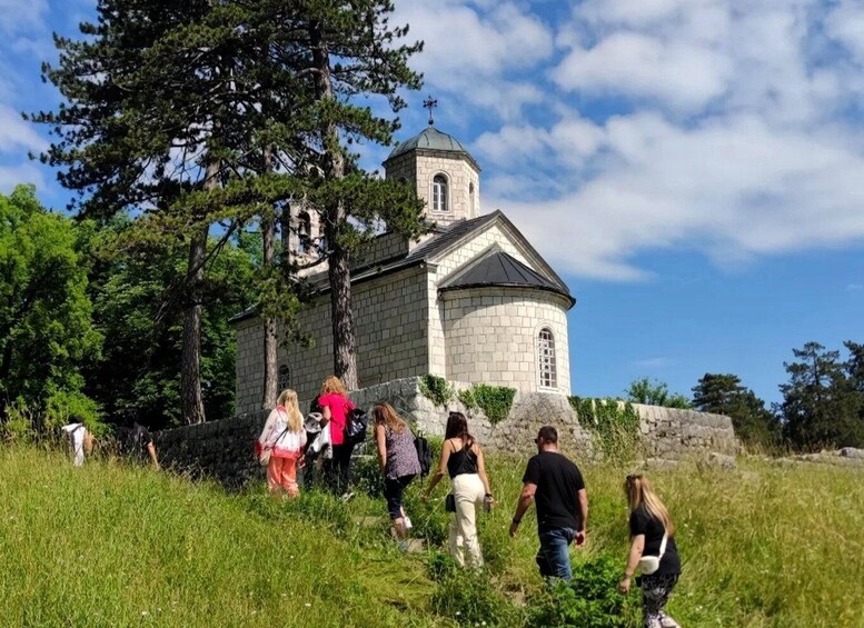 A stone church with a bell tower, surrounded by trees and grass. 5
