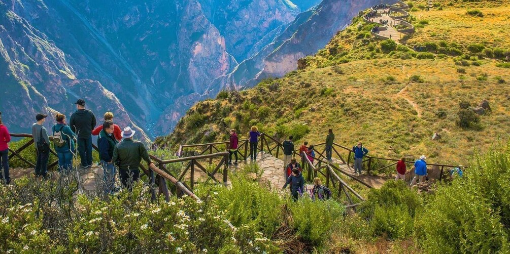 A group of hikers on a trail with a mountainous backdrop. 1