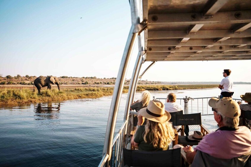 A boat tour with passengers observing wildlife. 4