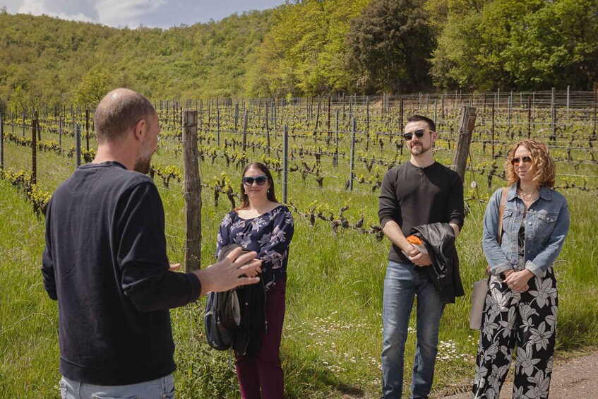 A group of people standing in a vineyard. 3