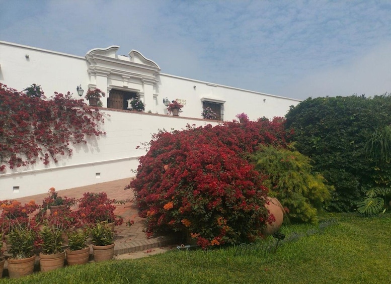 A white building with a mural, surrounded by red flowering bushes and potted plants. 2