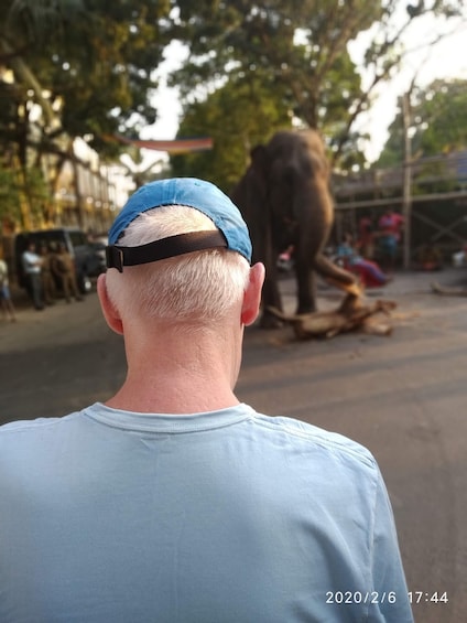 A person wearing a blue cap and light blue shirt, looking at an elephant on a street. 2