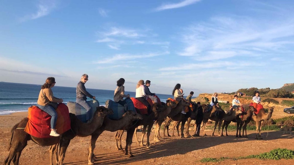 Picture 3 for Activity From Tarifa: Tangier full day Trip with Ferry tickets 2