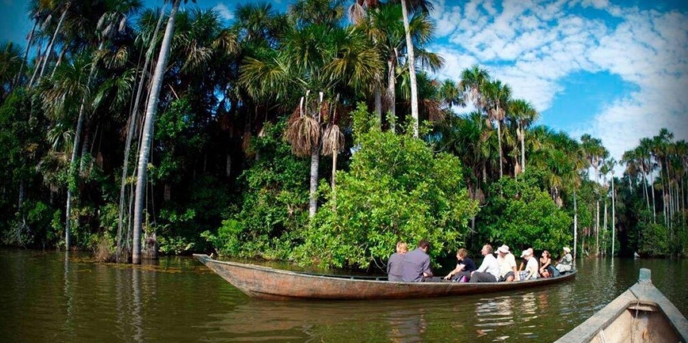 A boat with people on a river surrounded by tall palm trees. 1