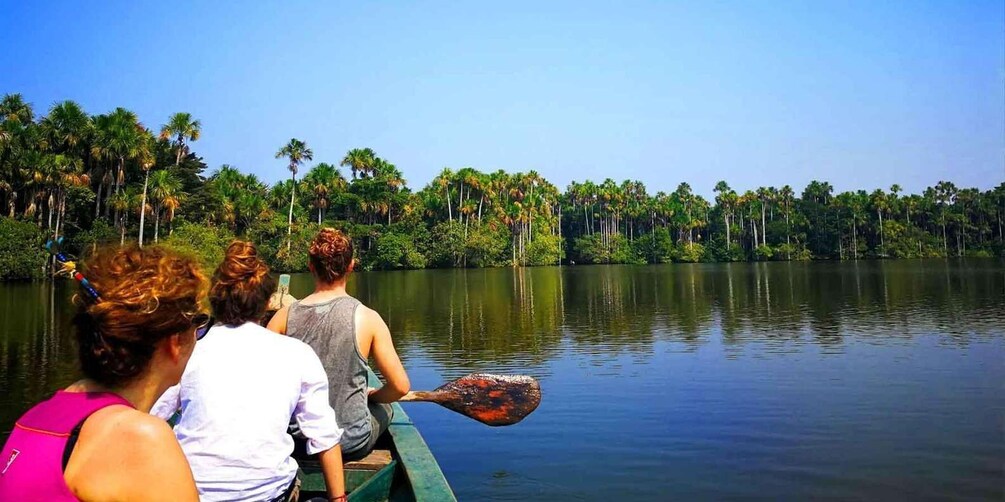 A group of people on a boat in a calm lake surrounded by dense palm trees. 5