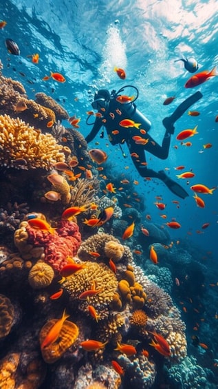 Yanbu: Beach Diving Experience with Instructor 1