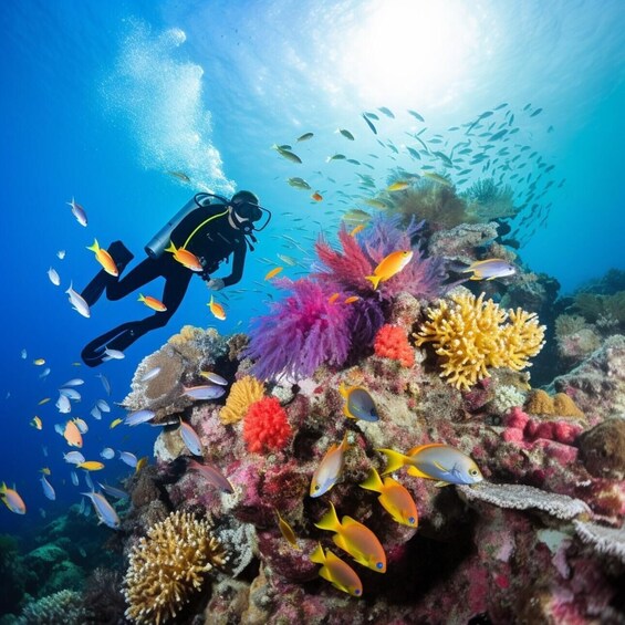 Picture 3 for Activity Yanbu: Beach Diving Experience with Instructor 3