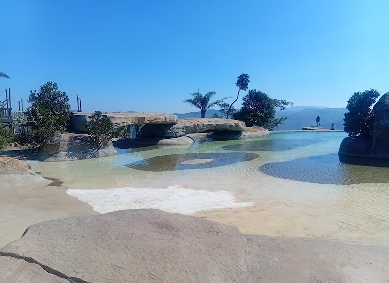 A clear pool with rocks and palm trees. 5