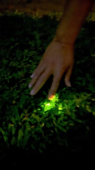 A hand reaching out to touch a glowing object on the grass. 3