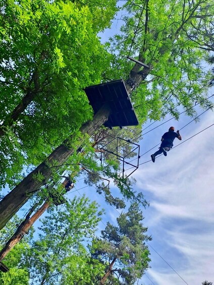 A person zip-lining through a forest with green foliage and a clear sky. 3