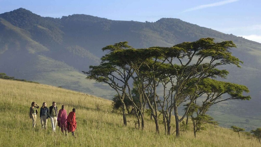 A group of people walking in a grassy field with mountains in the background. 3