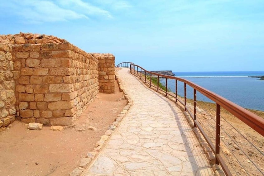 Picture 9 for Activity Salalah's Hidden Gems: East & West Adventure 4