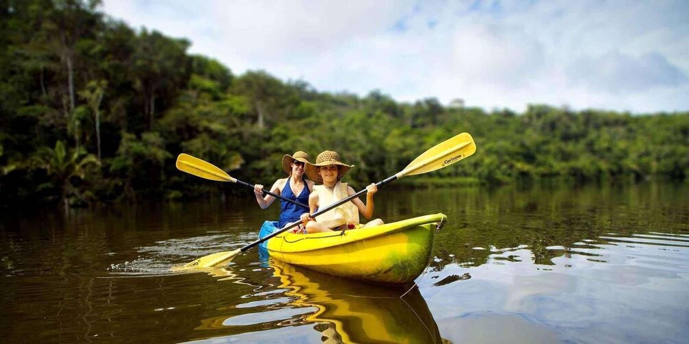 Two people kayaking in a yellow canoe on a calm river surrounded by dense greenery. 5