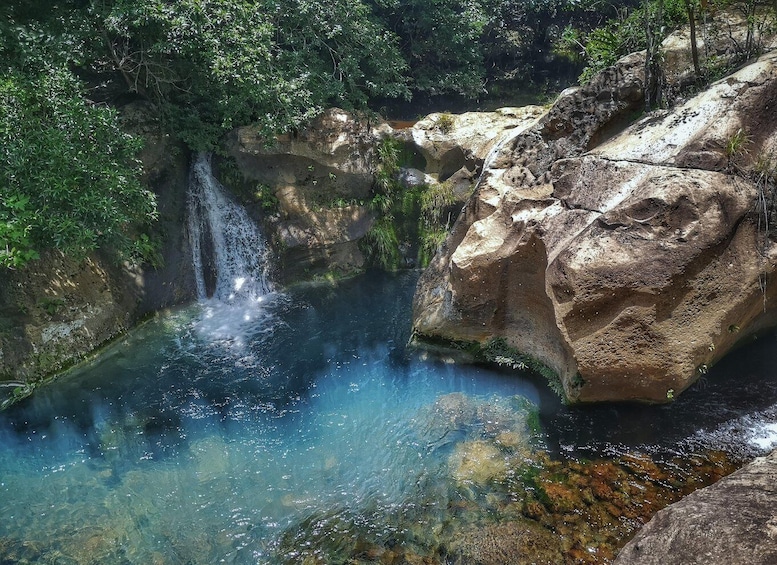 A waterfall cascading over rocks into a clear pool surrounded by lush greenery. 5
