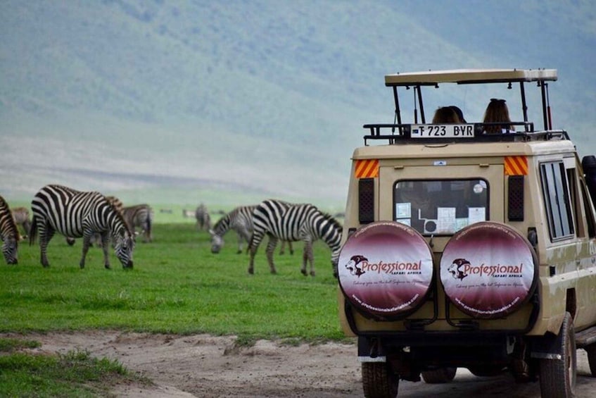 Un vehículo safari con la marca 'Professional Safari Africa' circulando por un campo de hierba alta, con cebras pastando al fondo. 5