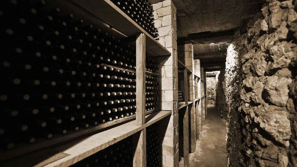 A wine cellar with rows of wine bottles on shelves. 2