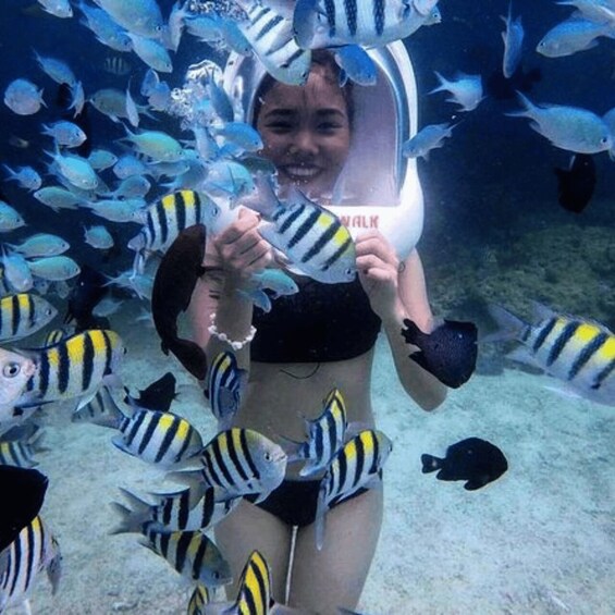 A person surrounded by numerous striped fish in an underwater setting. 2