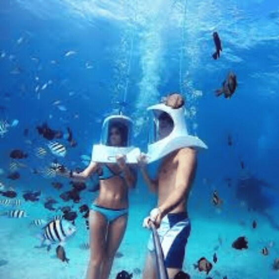 Two people snorkeling underwater with a variety of fish around them. 1