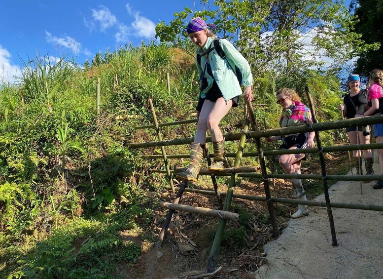 A person climbing a bamboo ladder in a forested area. 2