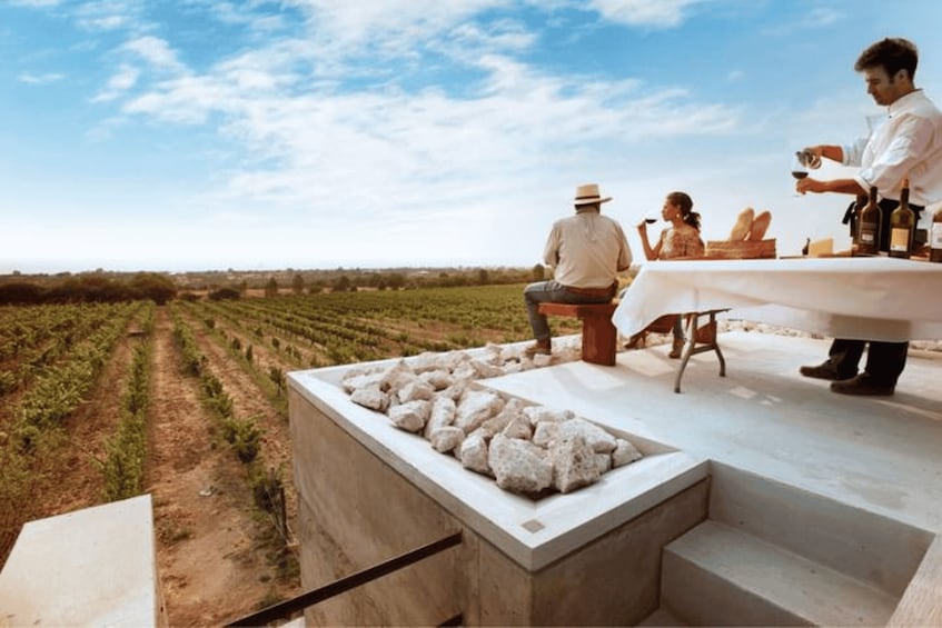 A vineyard with rows of grapevines, a table with people, and a man pouring wine. 4