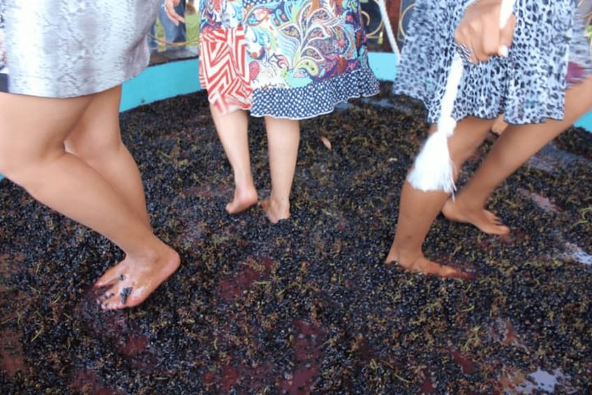 People standing barefoot on a ground covered with black and red organic material. 2