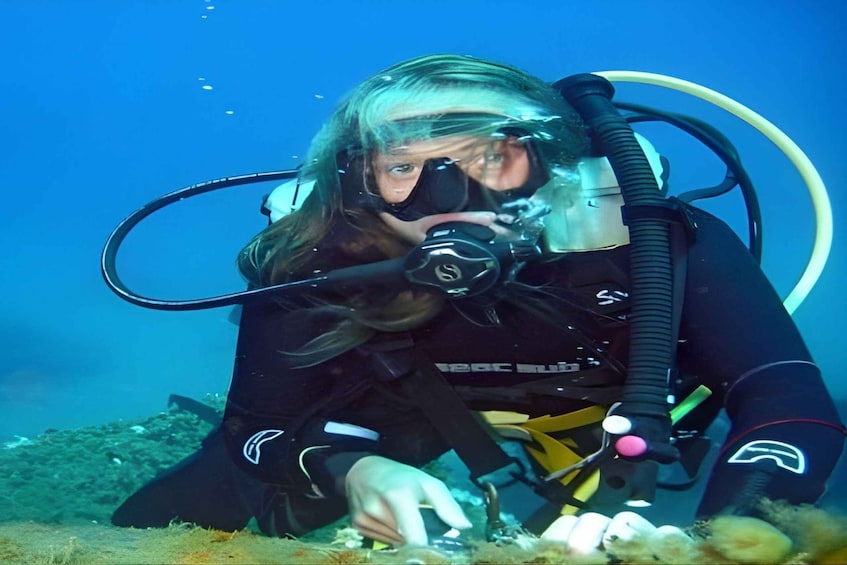 A person scuba diving underwater. 5