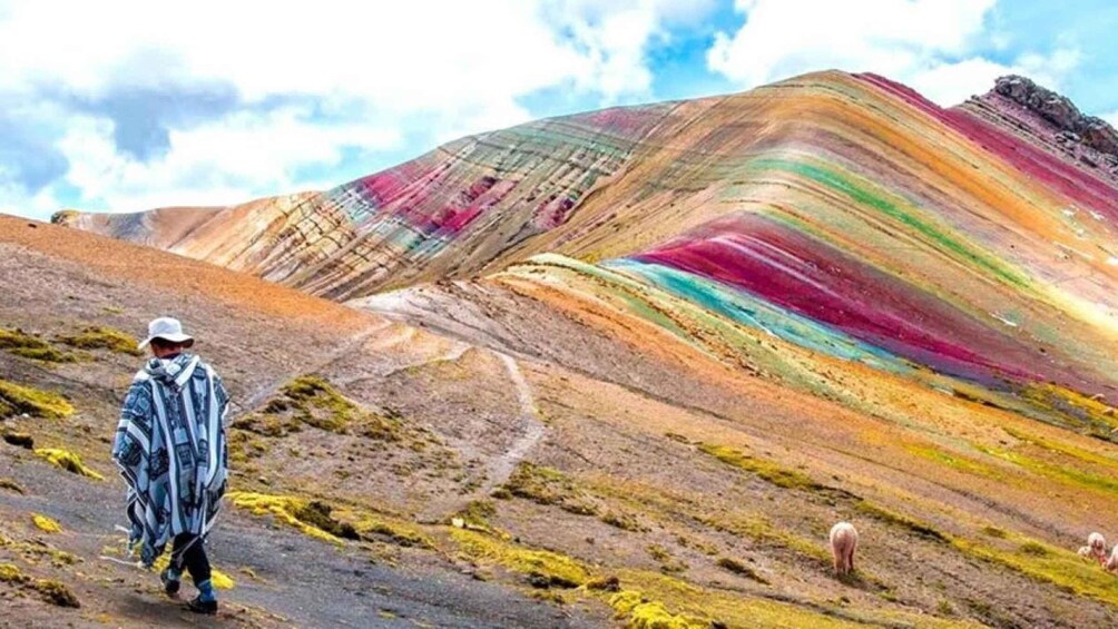 Picture 4 for Activity From Cusco: Palcoyo Rainbow Mountain All Included for 1 day 2