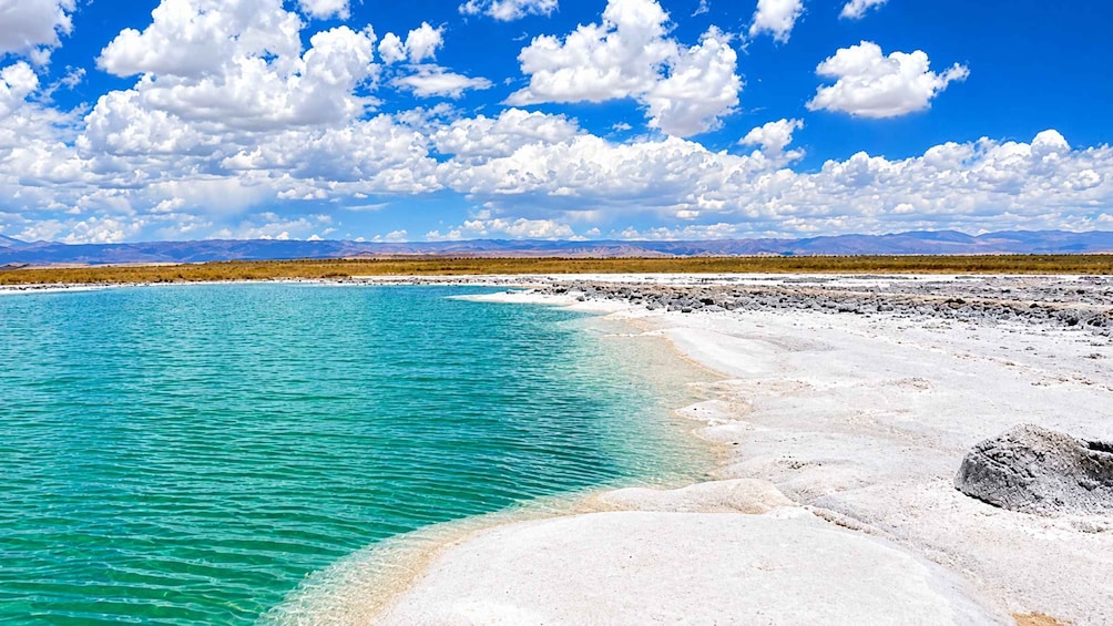 Un lago turquesa con arena blanca y cielo despejado. 1