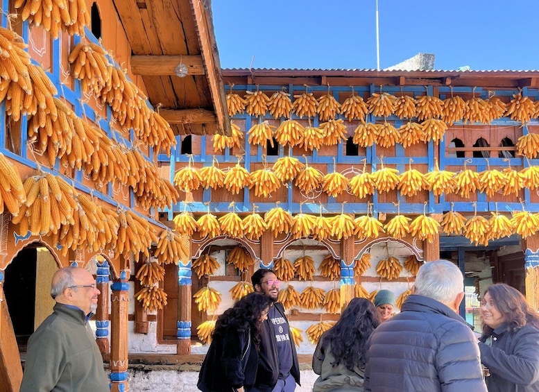 A building with multiple rows of corn cobs and bananas hanging outside. 2