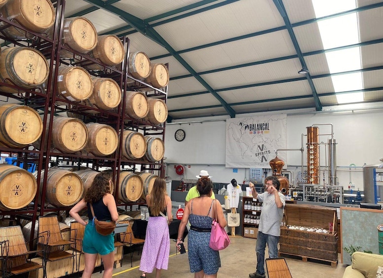 A warehouse with wooden barrels stacked on shelves, a large copper still, and a banner reading "BALANCAL". 4