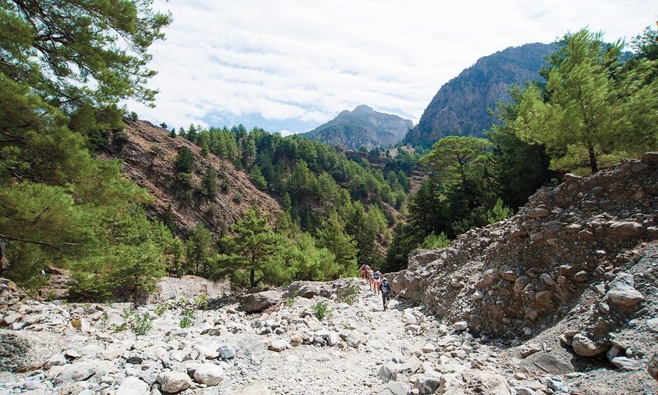 A rocky mountain trail with hikers, surrounded by dense pine trees and rugged terrain. 5