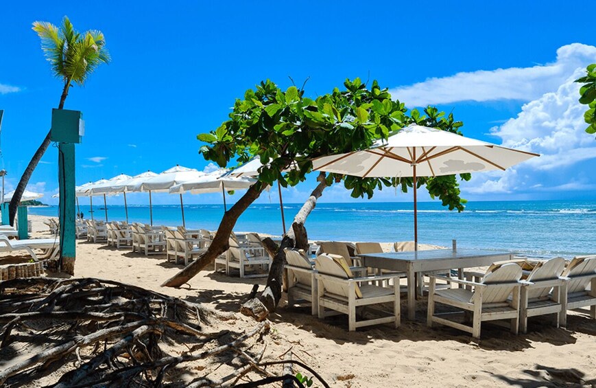 A beach with lounge chairs and umbrellas under a palm tree. 1