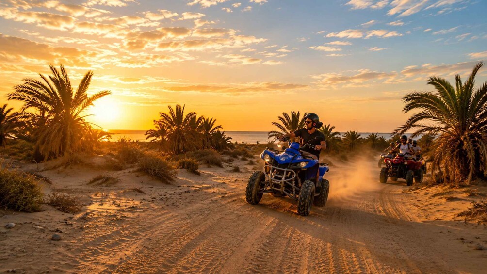 Picture 2 for Activity Djerba Quad : 3h Ride to flamingo island way 2