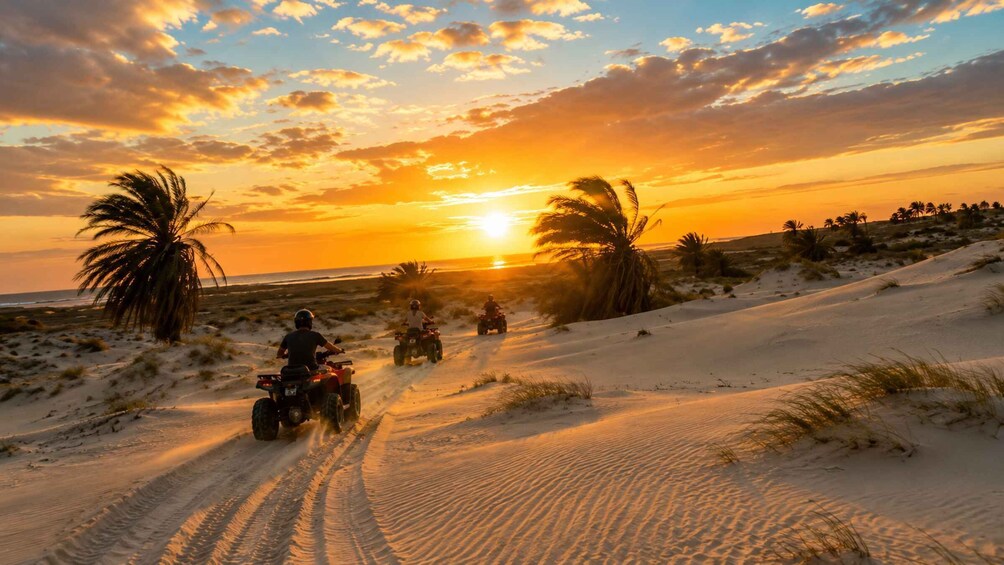 Djerba Quad : 3h Ride to flamingo island way 1