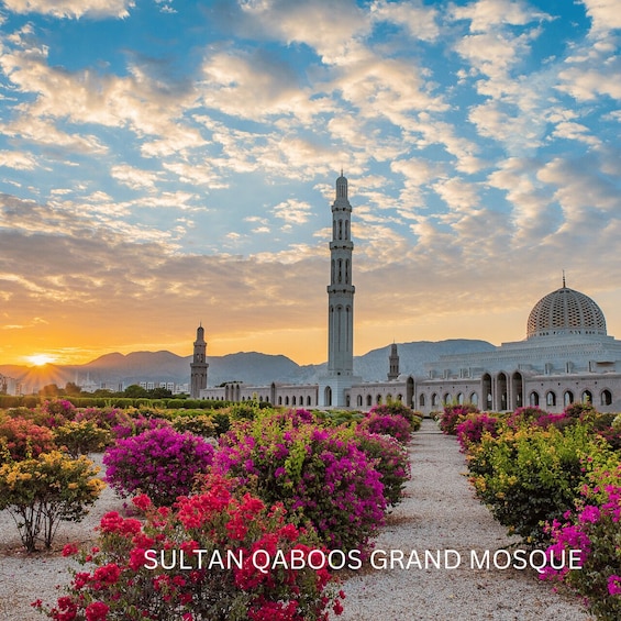 Muscat: Half-Day City Tour 1